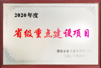 省級重點建設項目