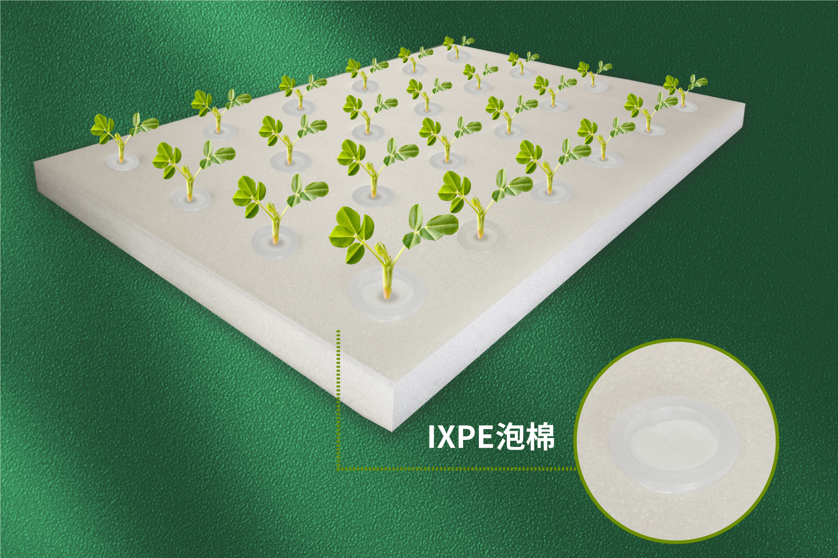 IXPE泡棉在漂浮種植板上的應用 